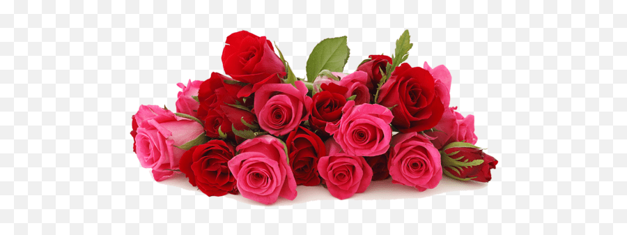 Rose is the flower of love. Creative Flowers By Amodiou0027s Roja Flower Png Funeral Flowers Png Free Transparent Png Images Pngaaa Com