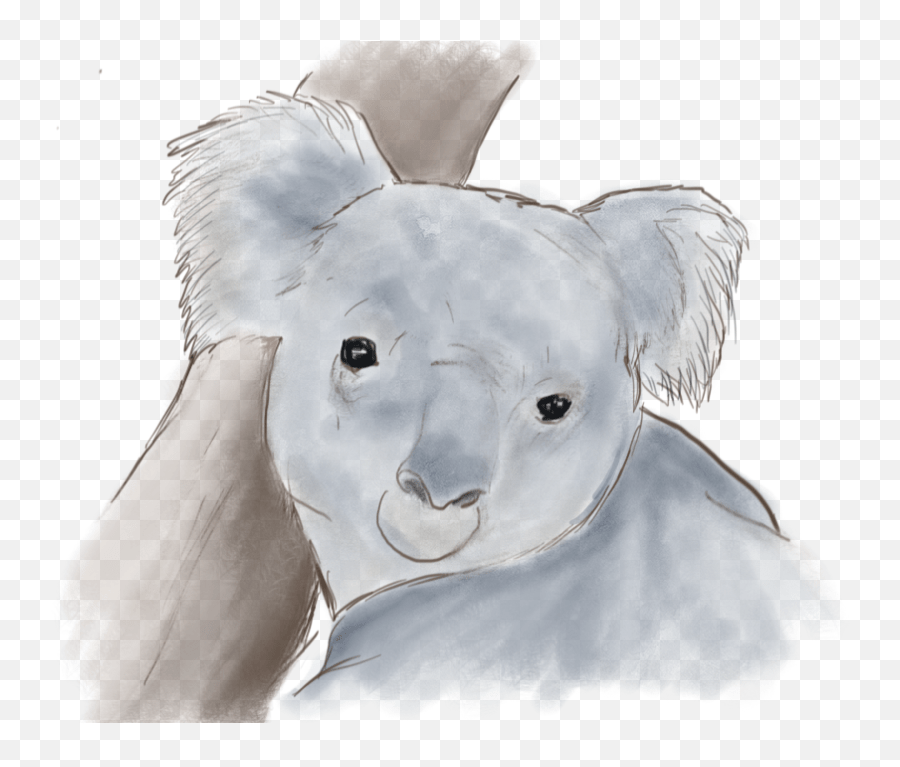 Find the perfect koala clip art stock photo. Watercolor Koala Clipart Koala Png Koala Transparent Free Transparent Png Images Pngaaa Com