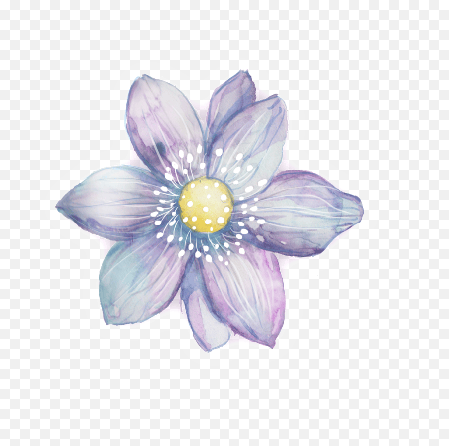 Purple · watercolor flower border clipart, romantic blush peony floral frame png for southwestern wedding invitations, feminine logos · watercolor flowers png . Download Hd Purple White Petals Purple Watercolor Flowers Clipart Png Rose Petals Transparent Background Free Transparent Png Images Pngaaa Com