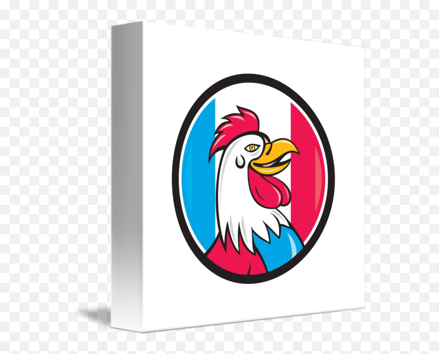 Colors near color chagnes for a prettier image) use the following pymol command: . French Rooster Head France Flag Circle Cartoon By Aloysius Patrimonio Png Transparent Background Free Transparent Png Images Pngaaa Com