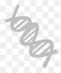 Download 45 royalty free dna png vector images. Free Transparent Dna Png Images Page 2 Pngaaa Com