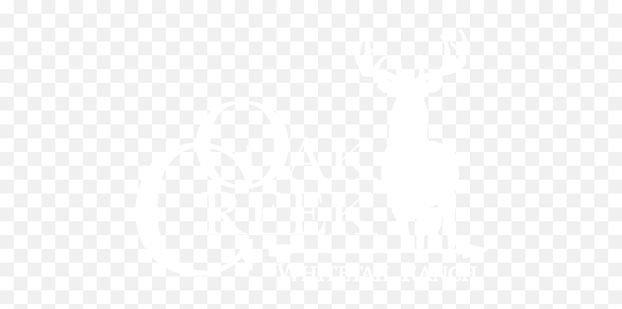 Trophy Whitetail Deer Hunting Ranch All Inclusive K Village Png Deer Head Logo Free Transparent Png Images Pngaaa Com
