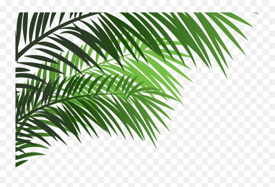 Lookup emoji meanings 💄, view emoji on any device 🎮, generate emoji codes on the emoji keyboard📧, or paste in emoji boxes🎁 or garbled text, 🔣 to view it ♪! Palm Leaf Emoji Transparent Cartoon Leaf A Emoji Png Leaf Emoji Png Free Transparent Png Images Pngaaa Com