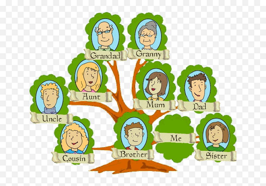 Choose from 160+ family tree graphic resources and download in the form of png, eps, ai or psd. People Clipart Family Tree Transparent Family Tree Png Family Tree Png Free Transparent Png Images Pngaaa Com