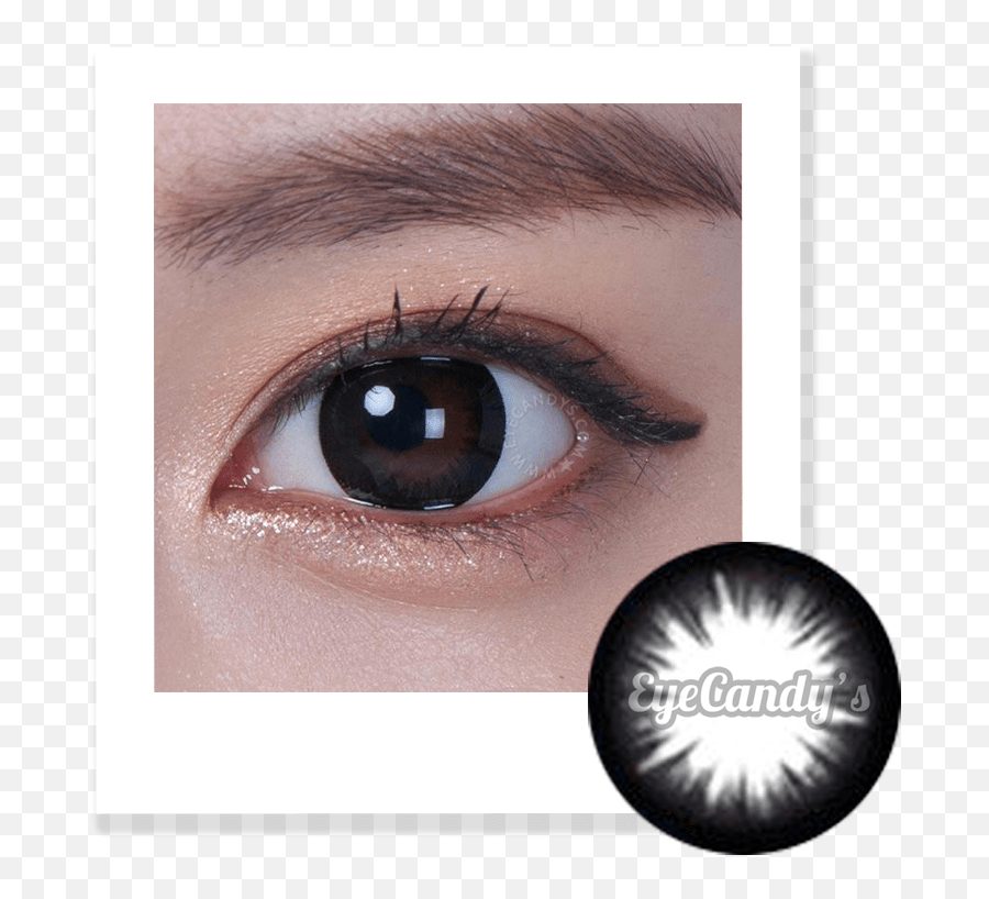 Discover and download free blue eyes png images on pngitem. Download Brown Eyes Lens Png U0026 Gif Base Eye Shadow Devil Eyes Png Free Transparent Png Images Pngaaa Com