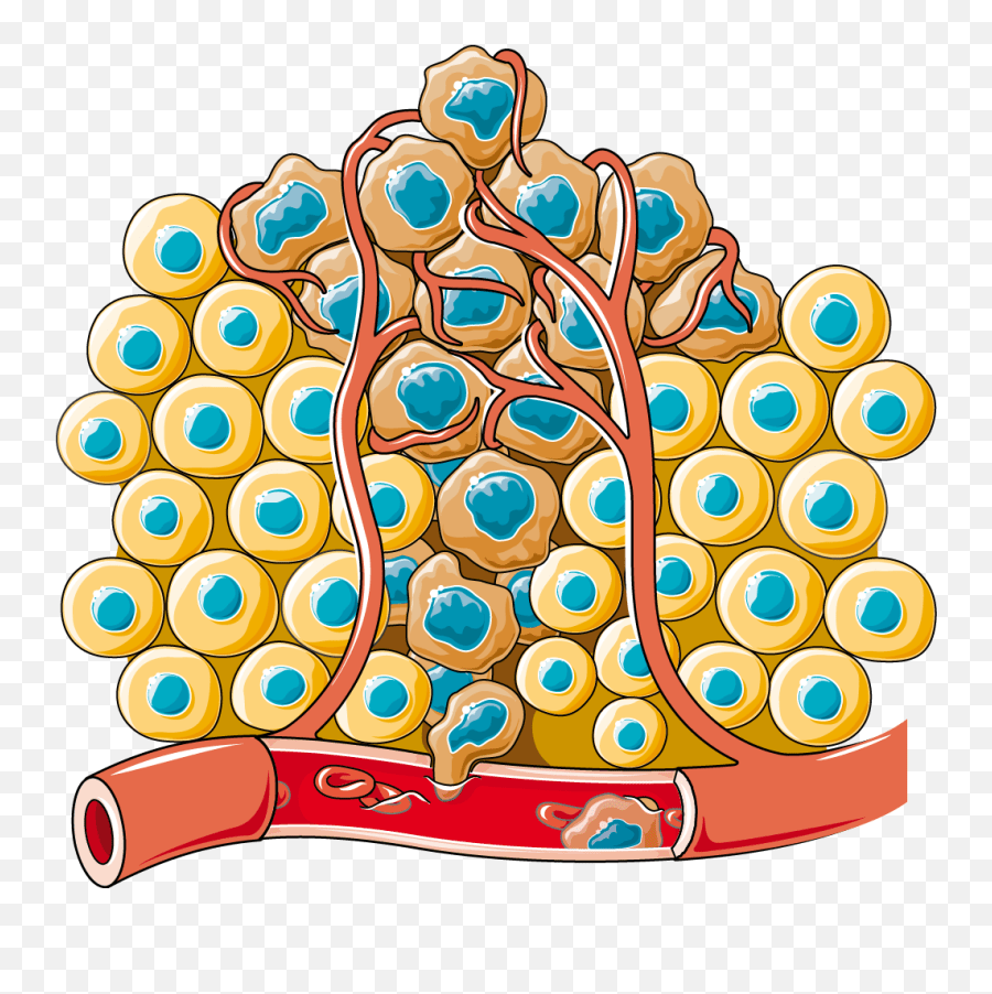 All of these cartoon cell resources are for free . Download The Image Cancer Cells Png Transparent Cartoon Cancer Cell Clipart Cell Png Free Transparent Png Images Pngaaa Com