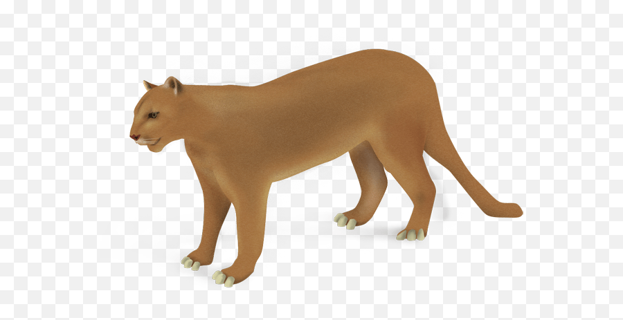 Referencia Salado Montanas Climaticas Puma Animado Definicion Forma Del Barco Anestesico