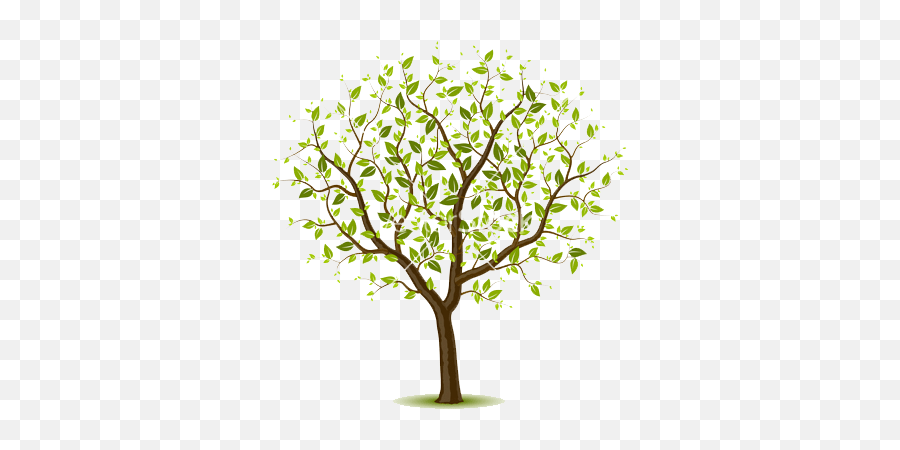 Our database contains more than 16 million free transparent png files. Spring Ps 211 Elm Tree Elementary Tree Png Tree Vector Png Free Transparent Png Images Pngaaa Com