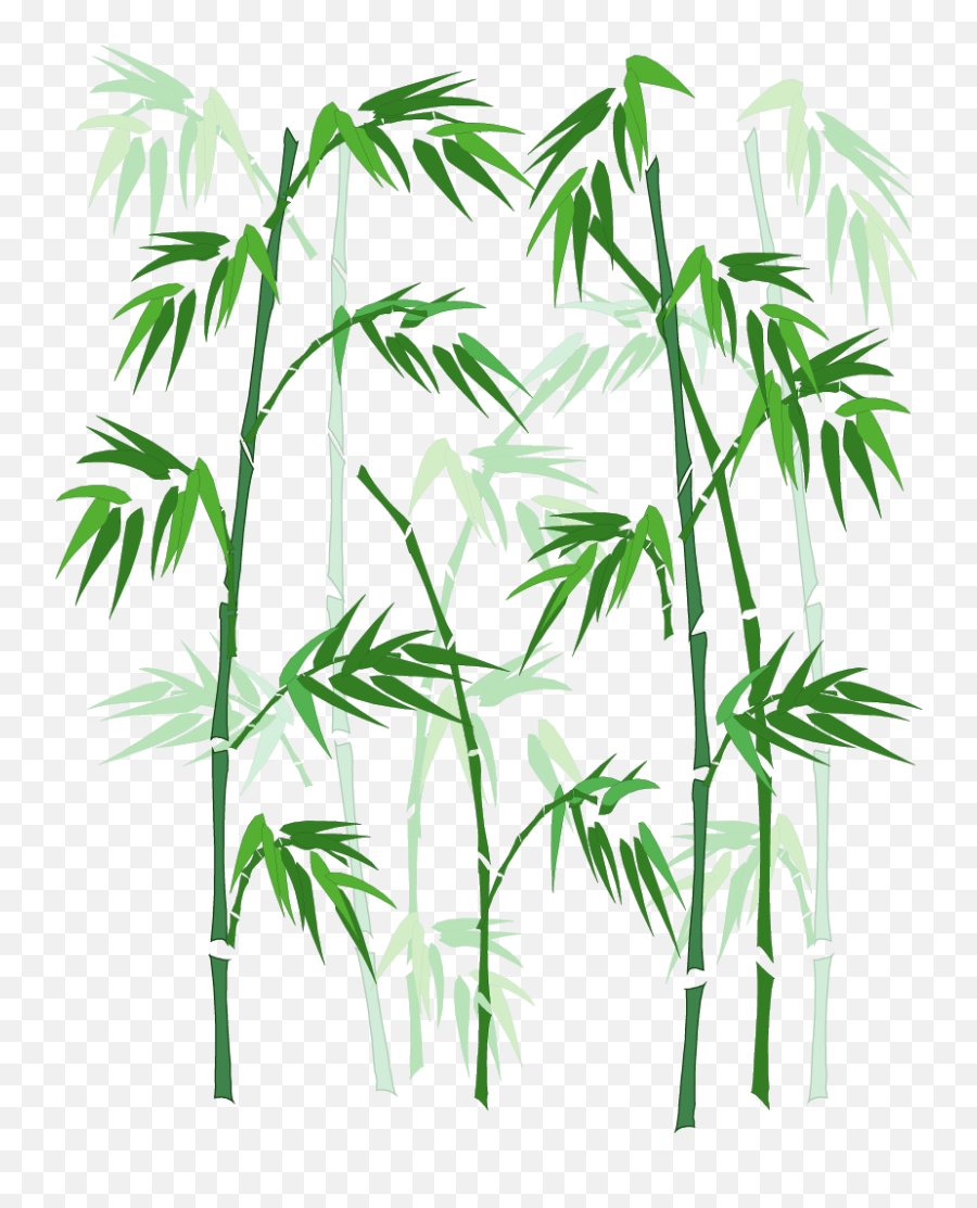 Black and white bamboo illustration, ink bamboo nsc nijkerk, bamboo, ink, wish,. Vector Hand Transparent Bamboo Vector Png Bamboo Png Free Transparent Png Images Pngaaa Com