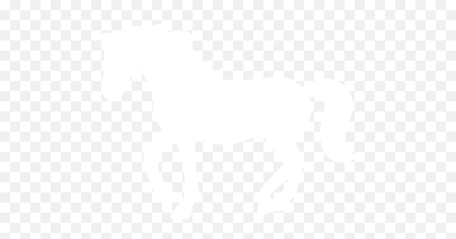 Nicepng provides large related hd transparent png images. White Horse 2 Icon Silhouette White Horse Png Horse Transparent Free Transparent Png Images Pngaaa Com