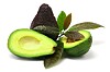 Browse amazing images uploaded by the pixabay community. Multi Resistant Bacteria Fear Avocados