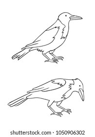 Raven clipart, crow cut file, flying crow svg, scavenger bird svg. Crow Coloring Book Images Stock Photos Vectors Shutterstock