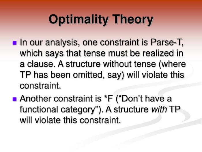 What is optimality theory