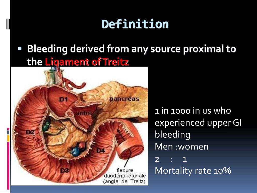 Ligament Of Treitz Upper Gi / PPT UPPER GIT BLEEDING HEMATEMESIS