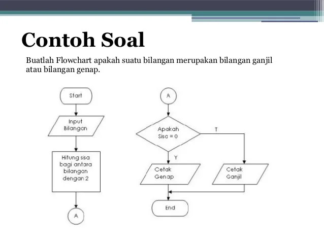 Contoh Makalah Keterdifrensialan Dan Contoh Soal / Algoritma dan pemrograman 1 - Berikut contoh latar belakang makalah.