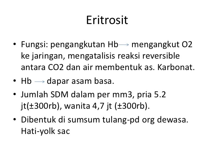 Eritrosit
