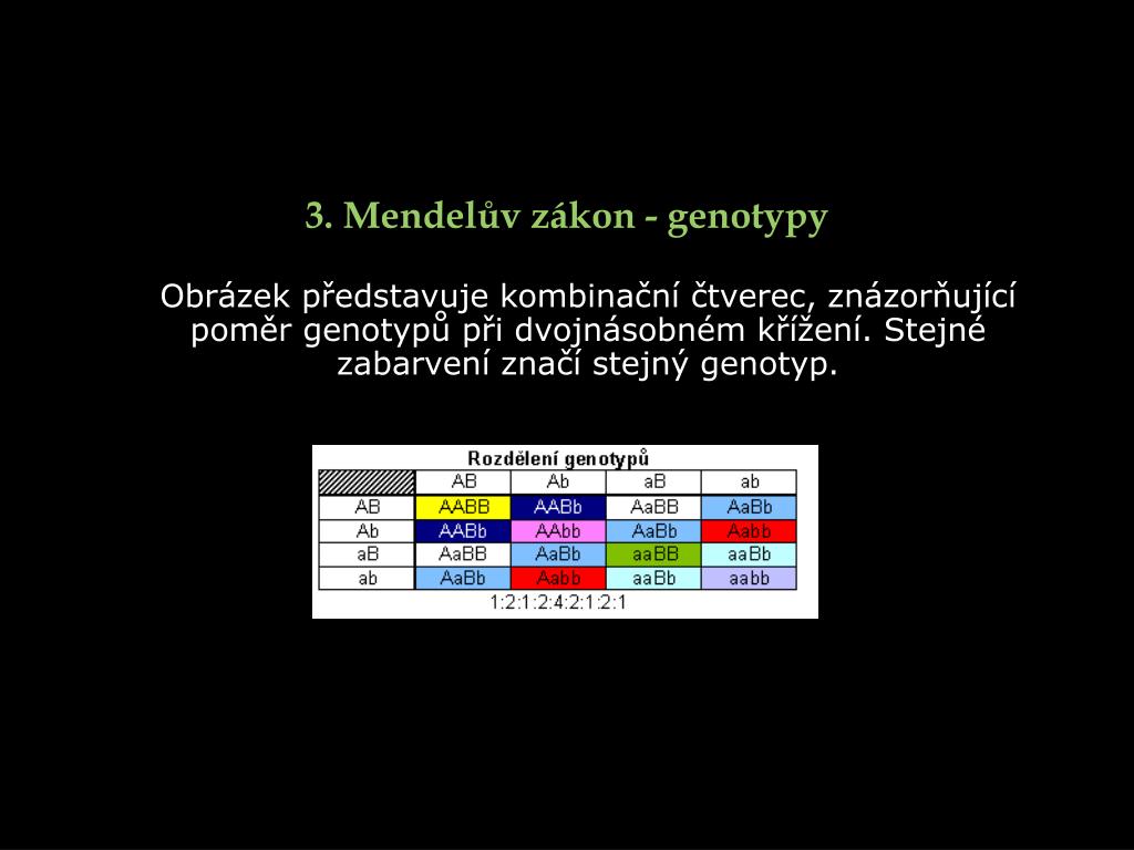 Ppt Ii Mendel Museum Museum Of Genetics Powerpoint Presentation Free Download Id 3327234
