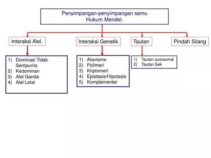 Hasil persilangan tanaman heterozigot dengan . Ppt P Enyimpangan Penyimpangan Semu H Ukum Mendel Powerpoint Presentation Id 3647796