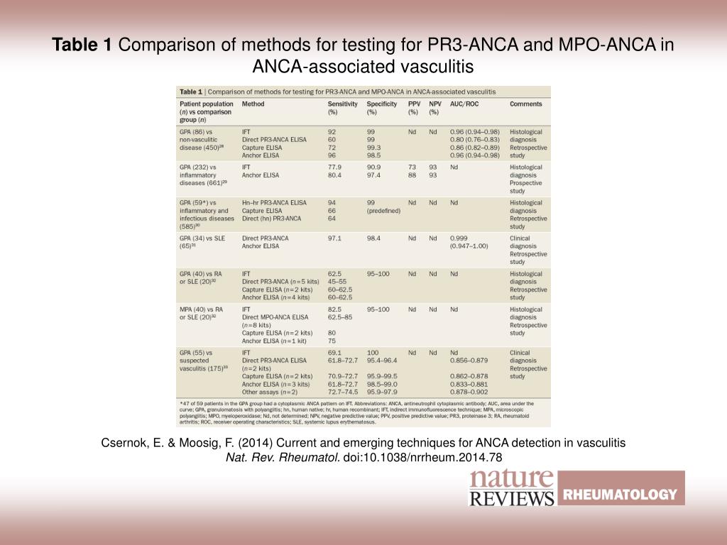 About press copyright contact us creators advertise developers terms privacy policy &amp; Ppt Table 1 Comparison Of Methods For Testing For Pr3 Anca And Mpo Anca In Anca Associated Vasculitis Powerpoint Presentation Id 3943282