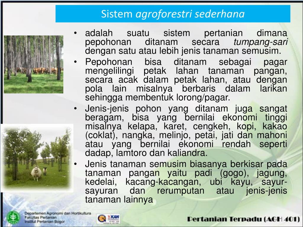 Contoh, pembangunan fasilitas jalan, listrik, pendldikan, kesehatan, dan airbersih. Ppt Agroforestry 1 Powerpoint Presentation Free Download Id 4587658