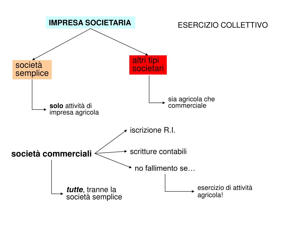 Ppt - Statuto Dell'imprenditore Commerciale Powerpoint Presentation, Free Download - Id:4754264 768_x_1024_jpg