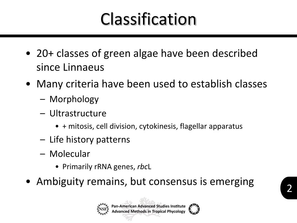 Structure and reproduction of algae”. Ppt Introduction To The Classification Of Green Algae Powerpoint Presentation Id 5458889