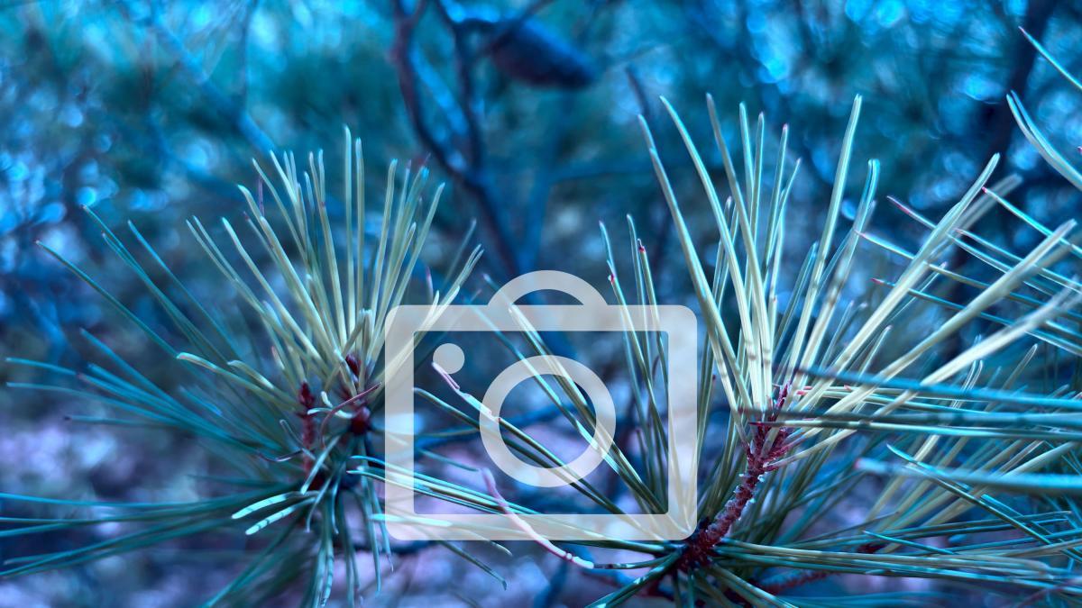 Una excelente opción para acortar tu hipoteca, y que no pasa por amortizar el préstamo Una excelente opción para acortar tu hipoteca, y que no pasa por amortizar el préstamo