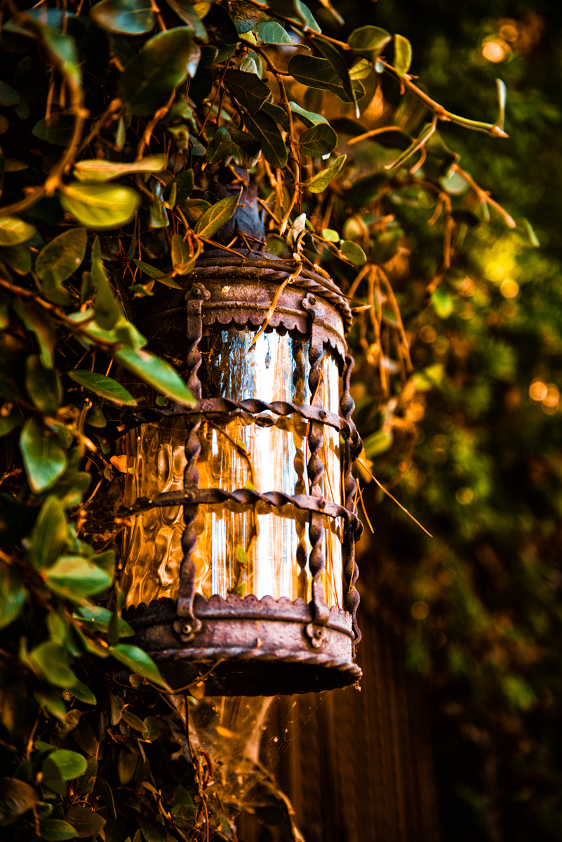 Lamp_LSP1481-Edit