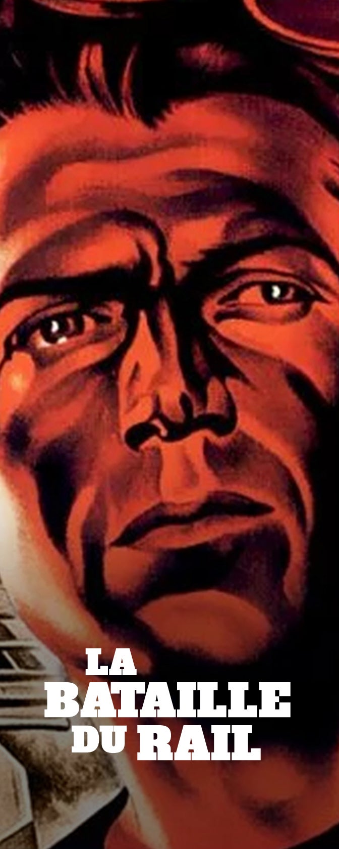 Ace Ventura : détective chiens et chats sur 6play : voir les épisodes en  streaming gratuit