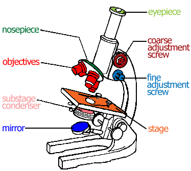 Oct 04, 2021 · microscope diagram labeled unlabeled and blank parts of a. Clipart Panda - Free Clipart Images