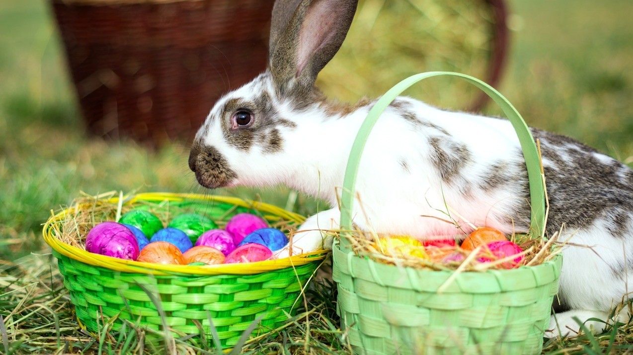 We did not find results for: Good Friday Fish Dishes And Easter Recipes Lorraine