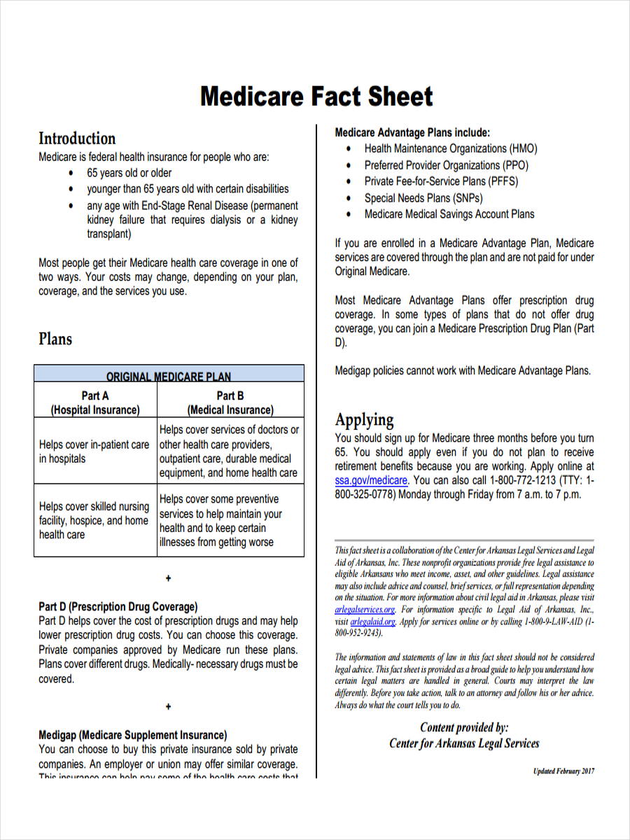 Examples of term papers that got an a. FREE 19+ Fact Sheet Examples & Samples in Word | Pages