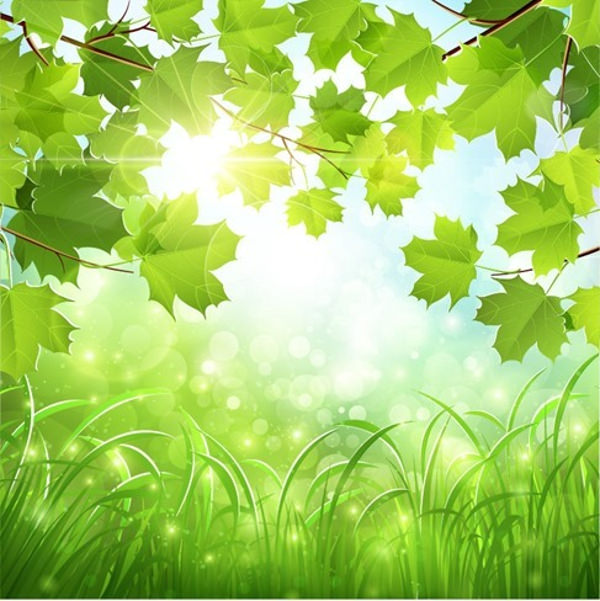 Green nature, green forest, dark forest, deep forest, thick forest; FREE 16+ Green Nature Backgrounds in PSD | AI
