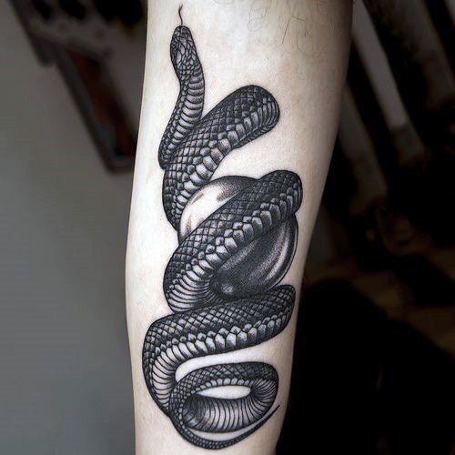 60 Tatuaggi Con Il Serpente (Con Significato) 500_x_500_jpg