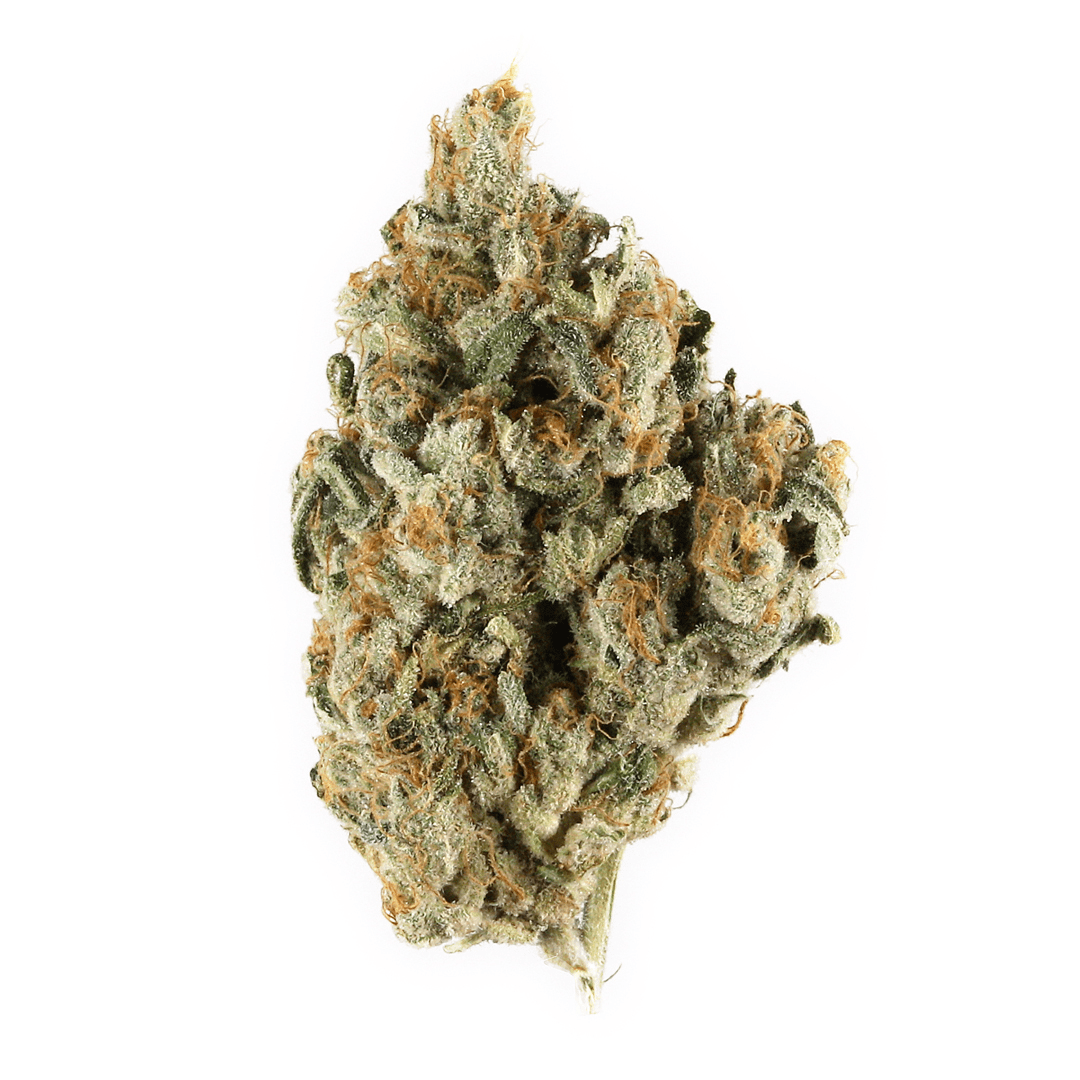 Our herb seed collections are here too. Chili Verde Weed Strain Information Leafly