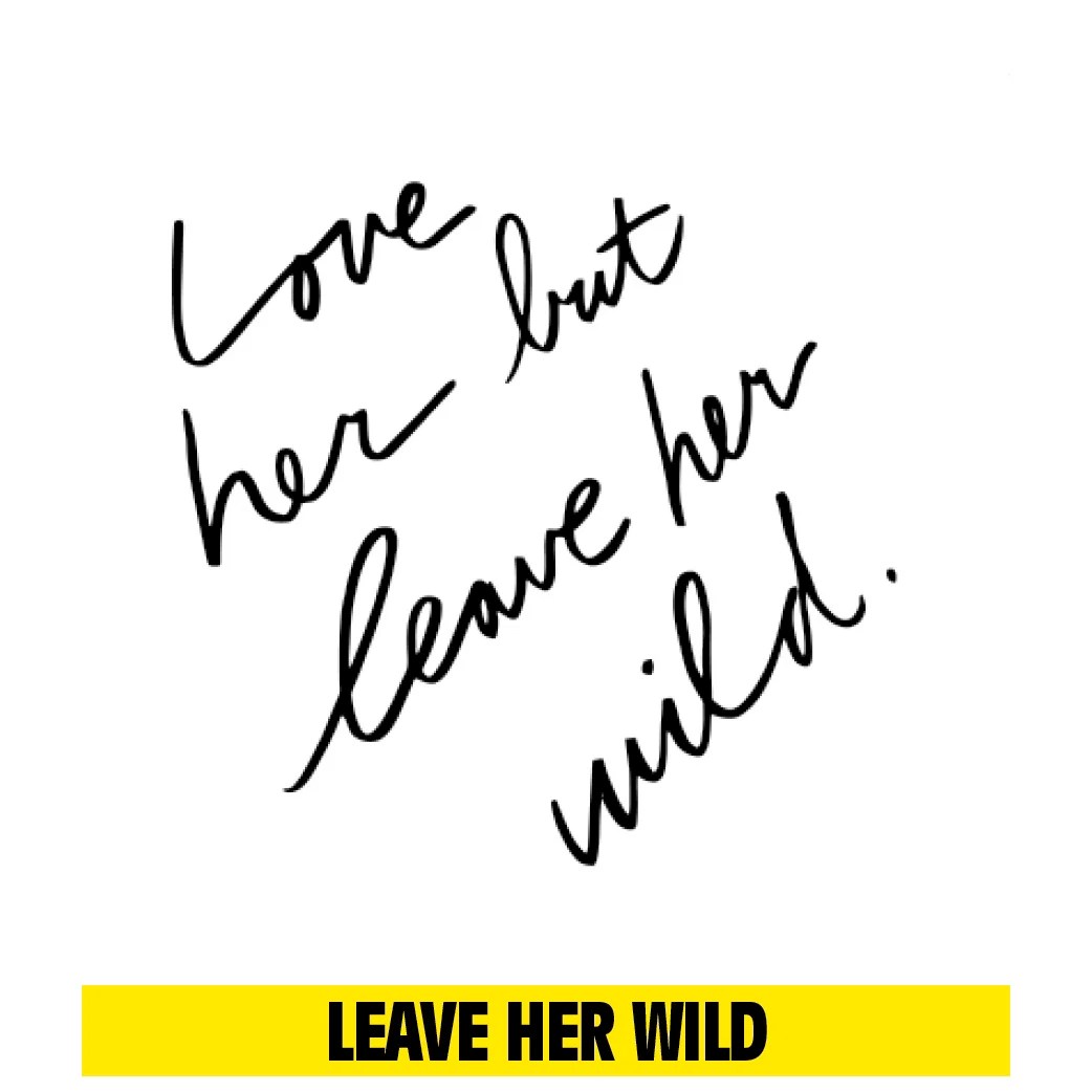 Inkbox Tattoos: Find Your Wild ✨ Inkbox + Atticus Is Here | Milled 1042_x_1042_jpg