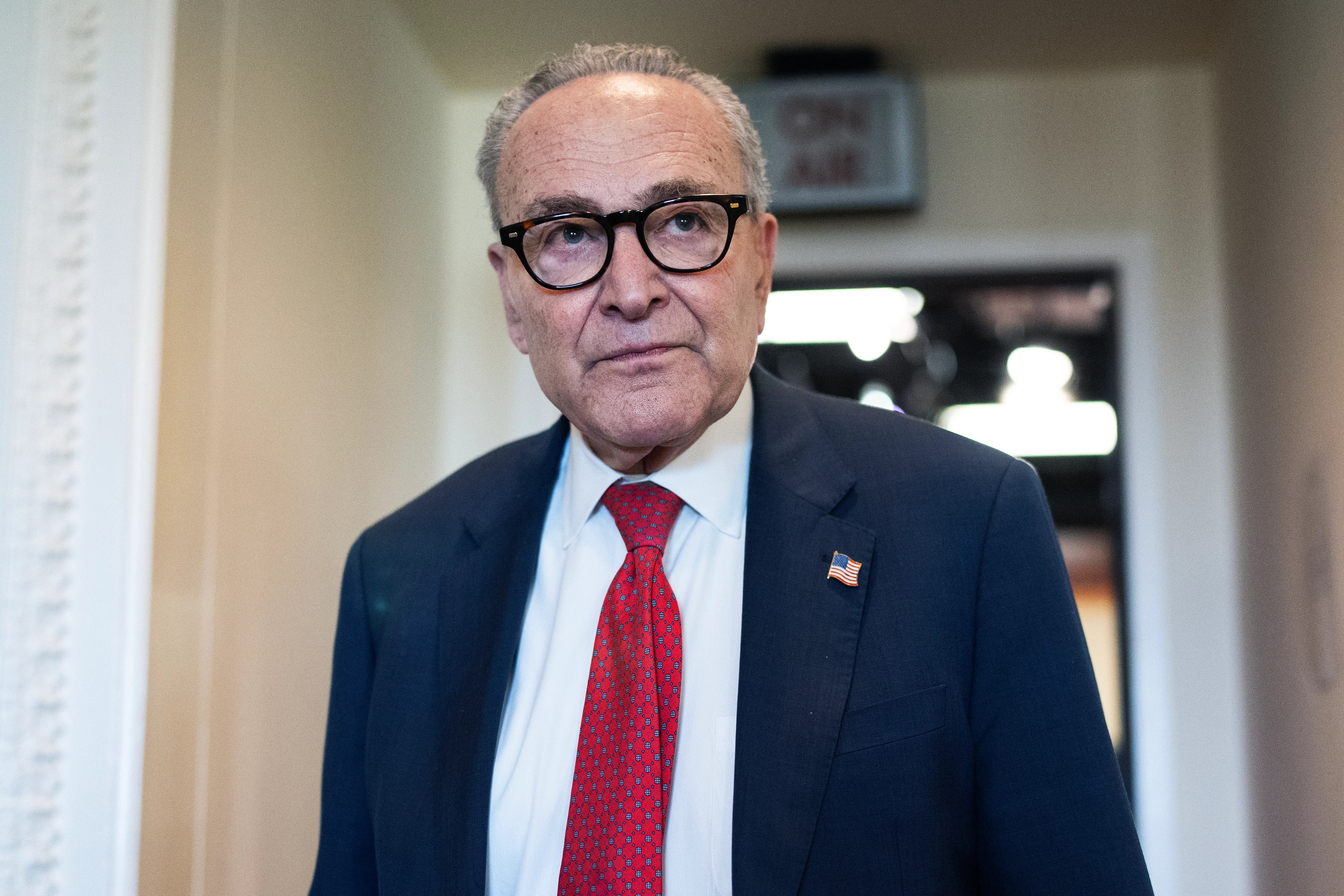 Schumer Begged 2028 Dem Contenders Not to Criticize Shutdown Deal
