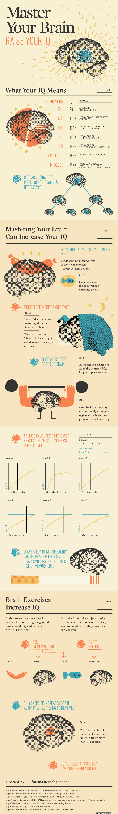 Master Your Brain: Raise Your IQ