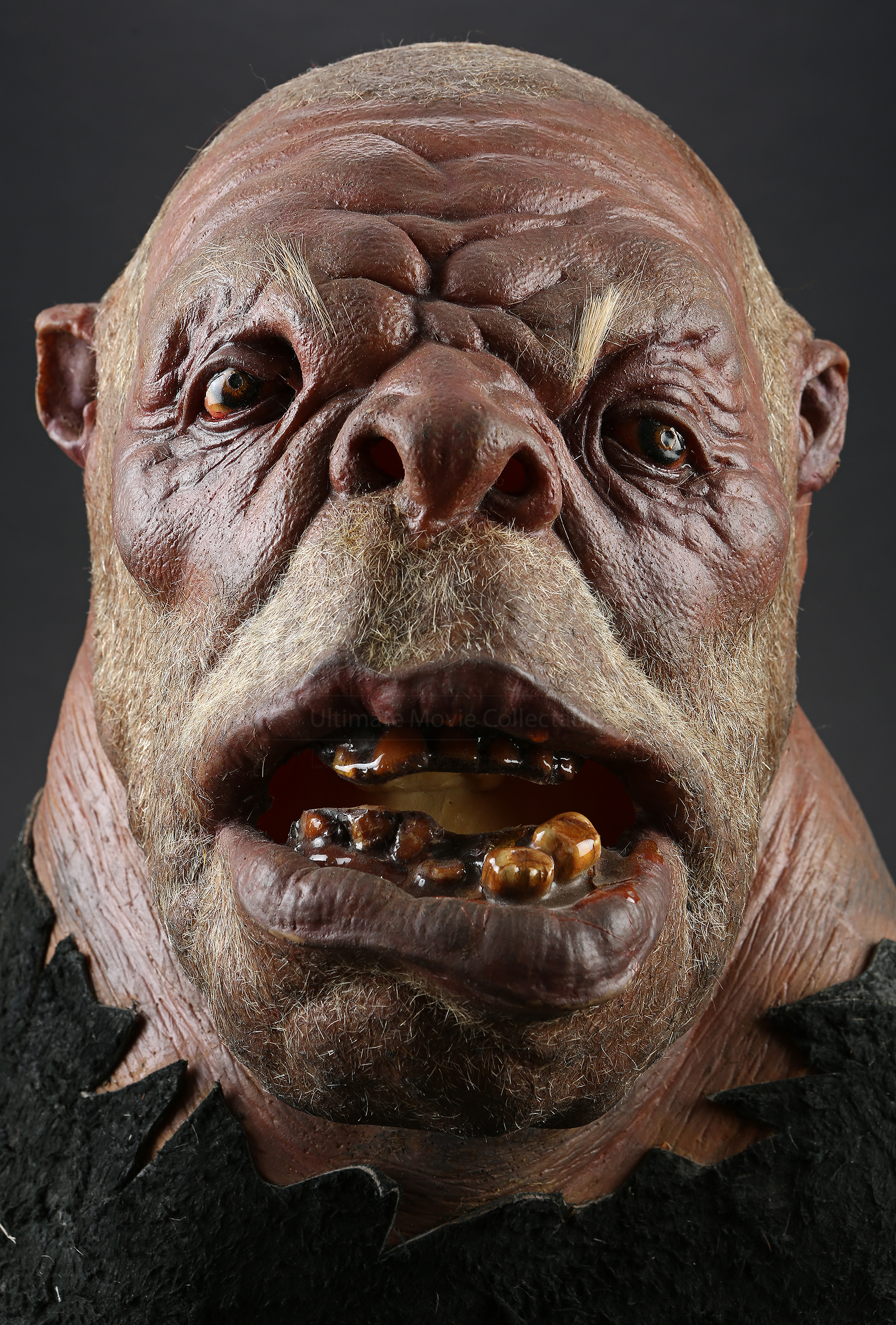 It records the adventure of four ordinary . Ogre Mask on Bust | Prop Store - Ultimate Movie Collectables