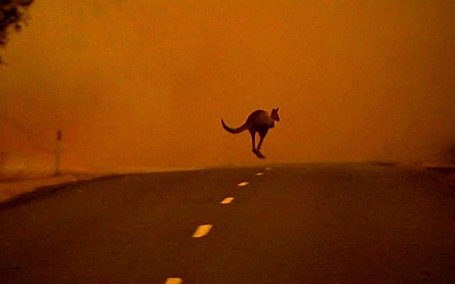 Bosbranden Australie Houden Aan Video En Fotoserie