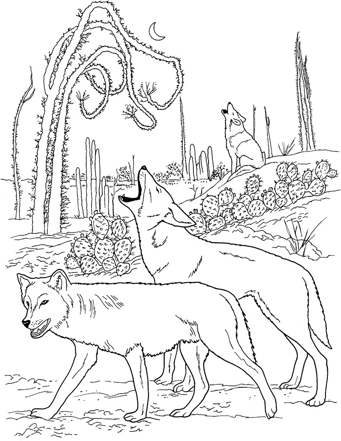 wolf template animal templates free premium templates