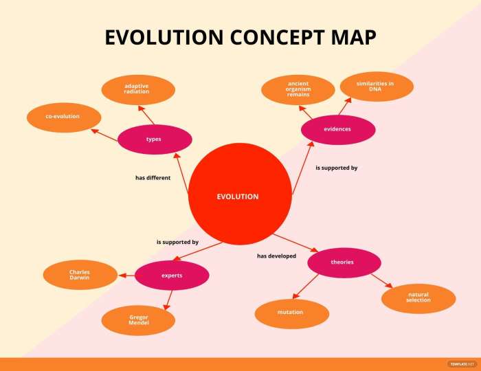 Concept Map - What Is a Concept Map? Definition, Types, Uses