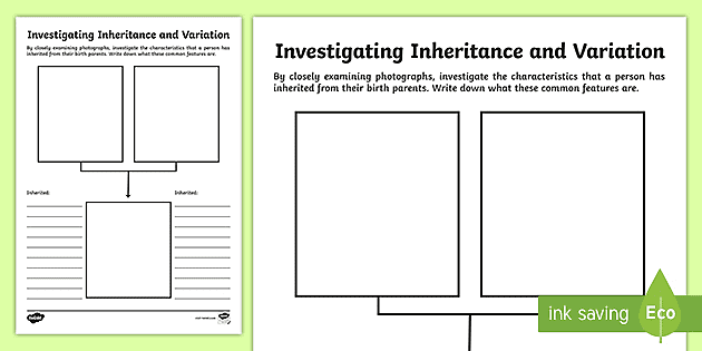 investigating inheritance and variation worksheet worksheet