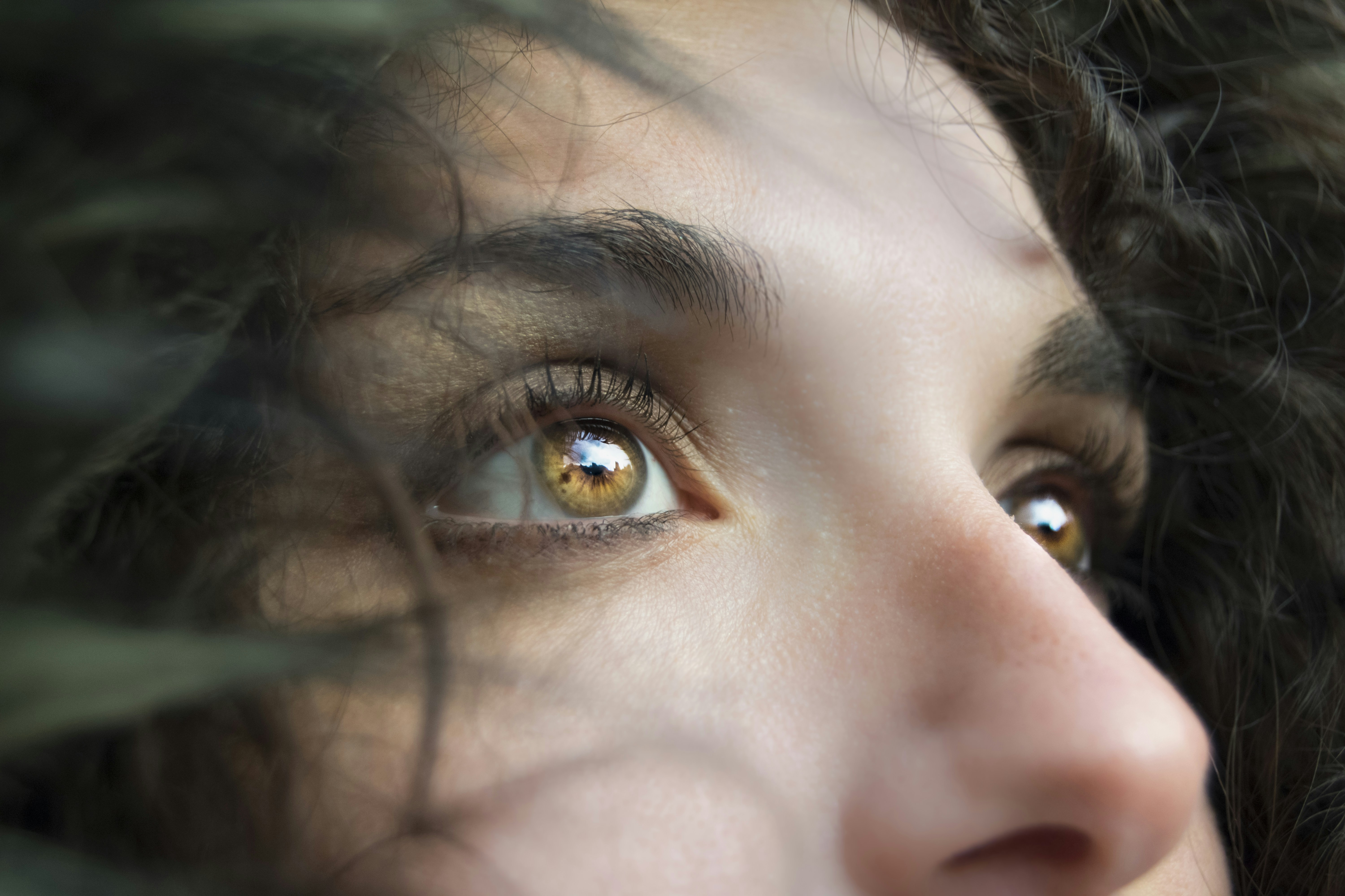 10+ Eyes Photography PNG