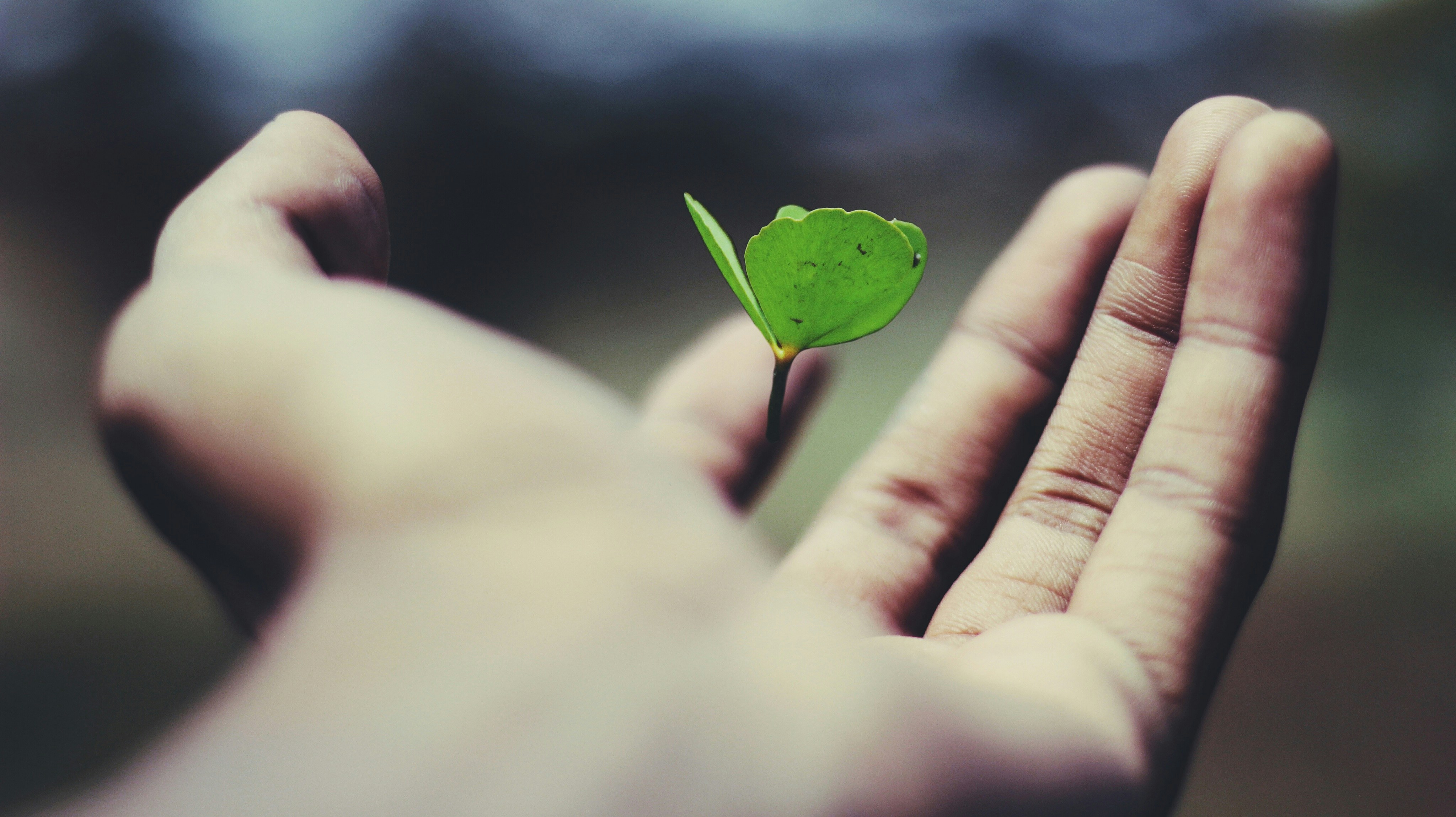 Happiness is experienced largely in striving towards a goal, not in having attained things, because our nature is always to want. Best Life Pictures Hd Download Free Images On Unsplash
