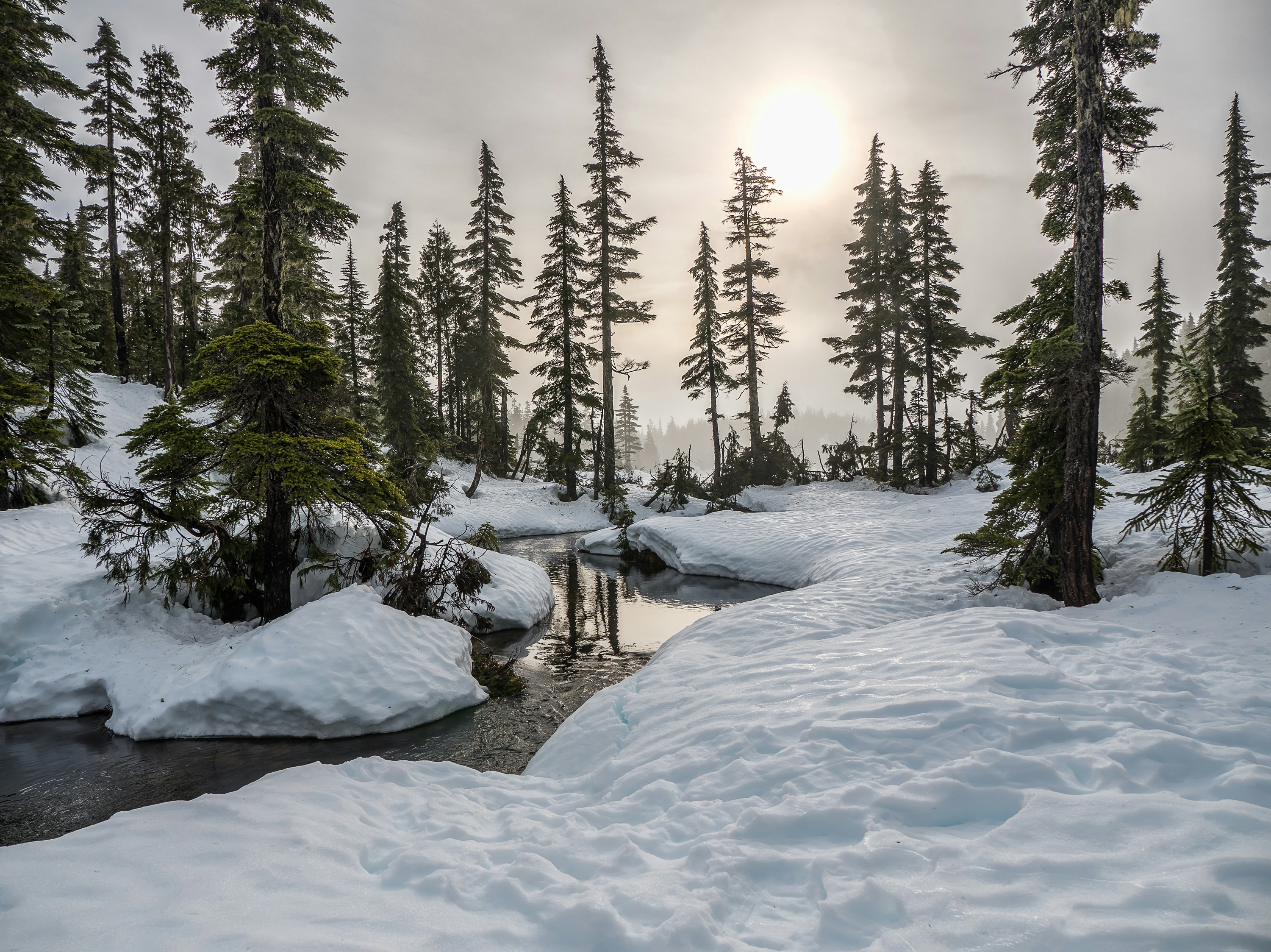 ✓ free for commercial use ✓ high quality images. Best 100 Winter Scene Pictures Stunning 2019 Download Free Images On Unsplash