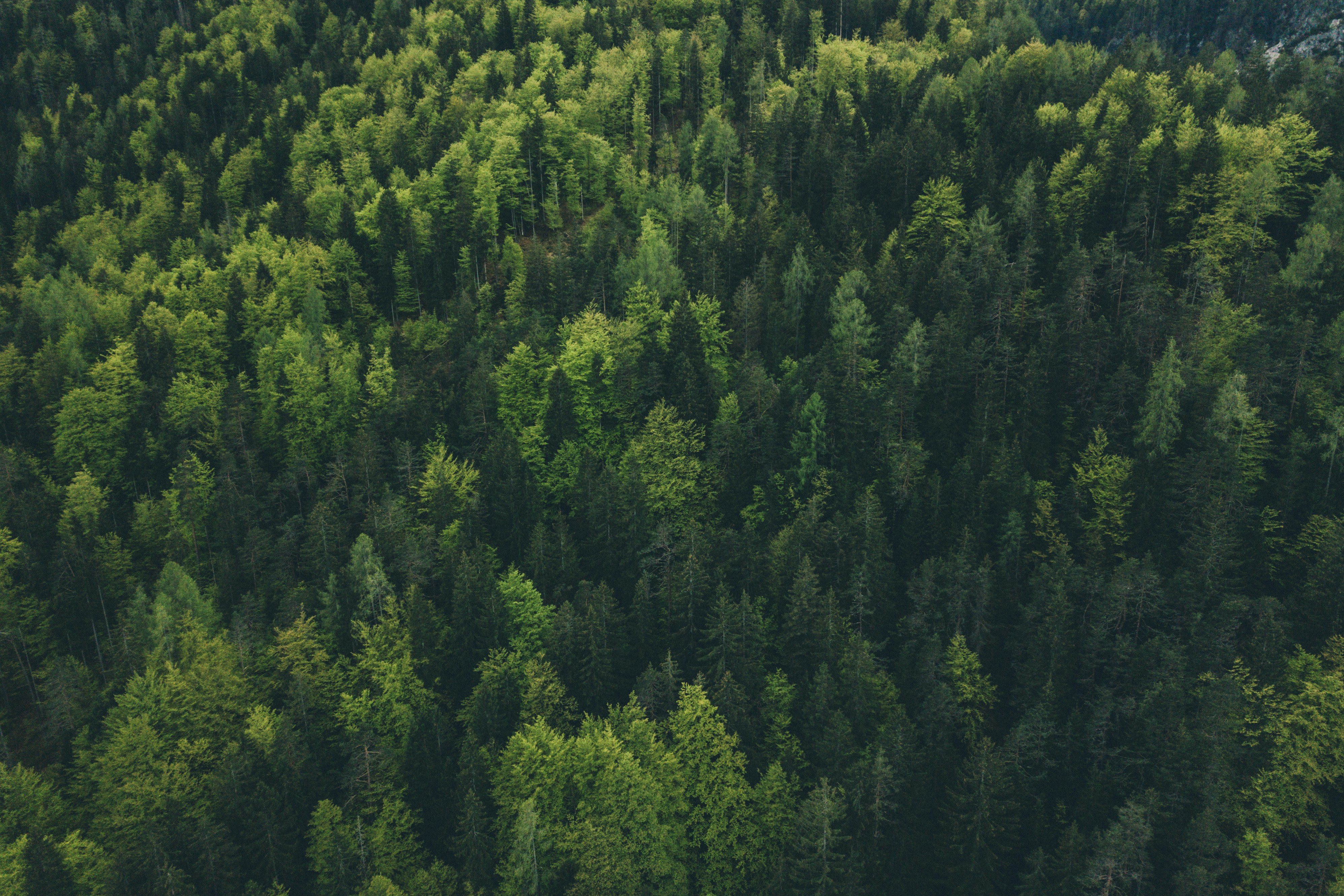 sustainable high performance