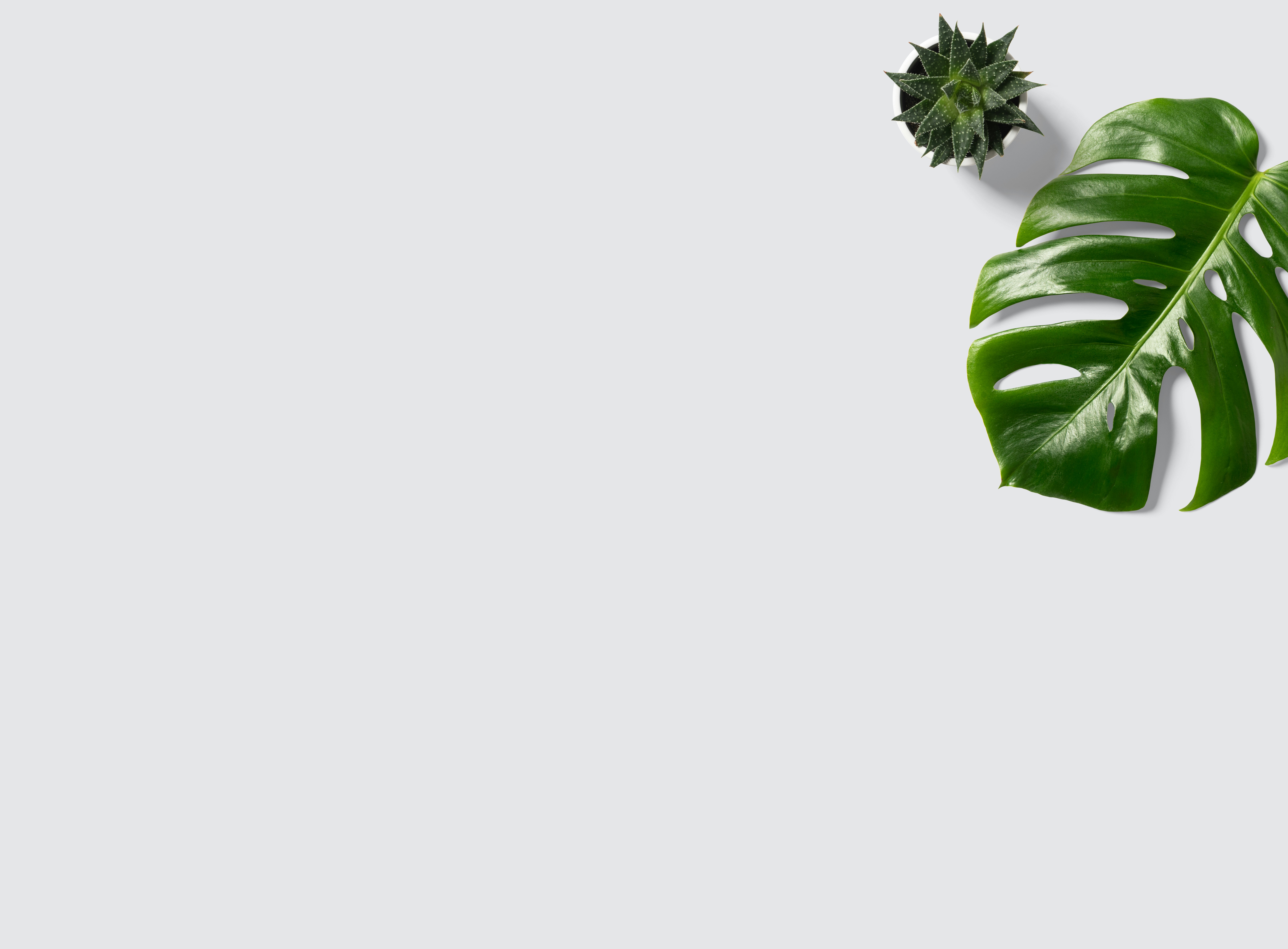 Desktop computer on desk mockup 1 psd mockup computer mock up smartphone imac mock up pc smart object pho computer mockup mockup desk mockup design. Desk Mockup Pictures Download Free Images On Unsplash