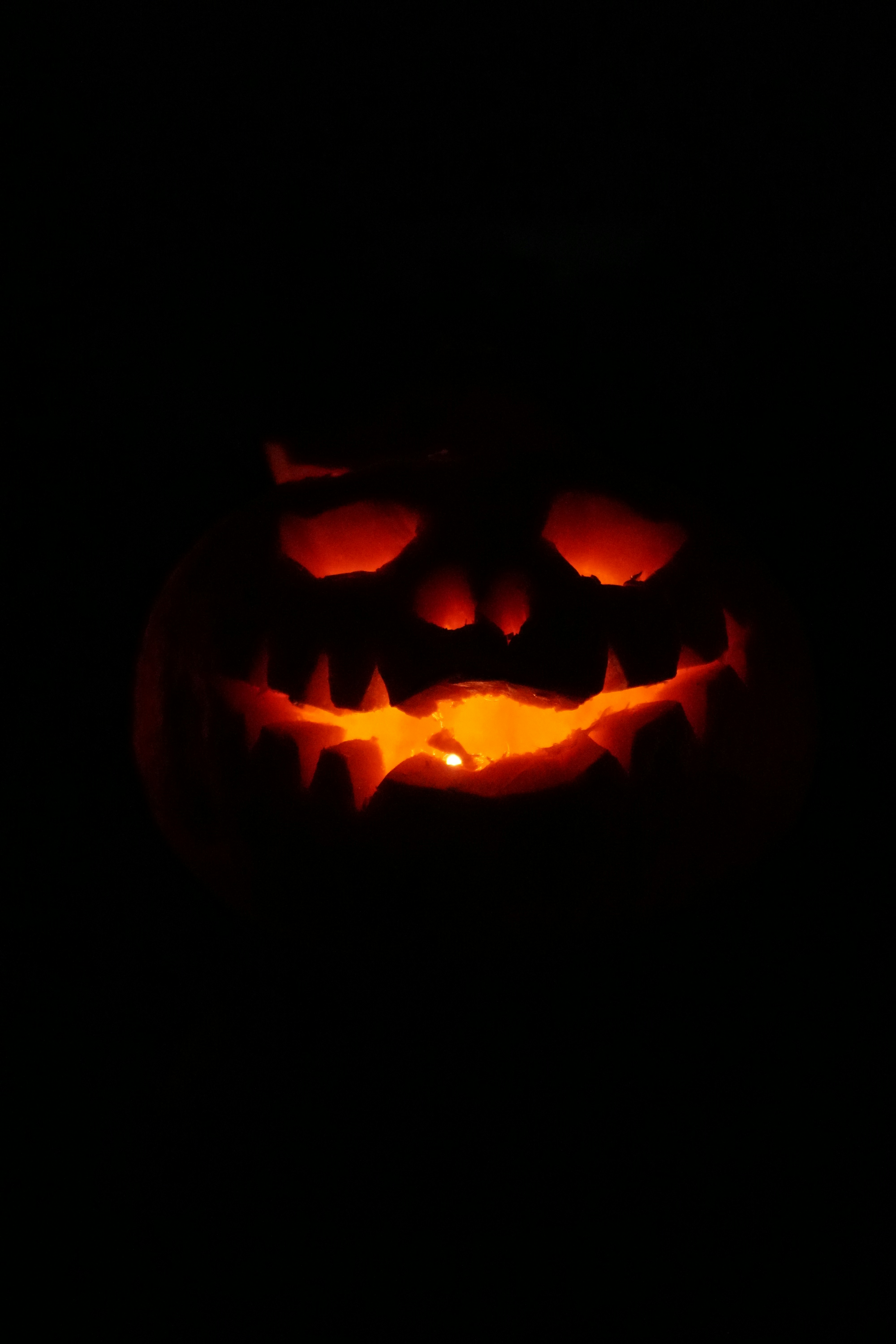 600 scary halloween backgrounds for free. Halloween Wallpapers Free Hd Download 500 Hq Unsplash