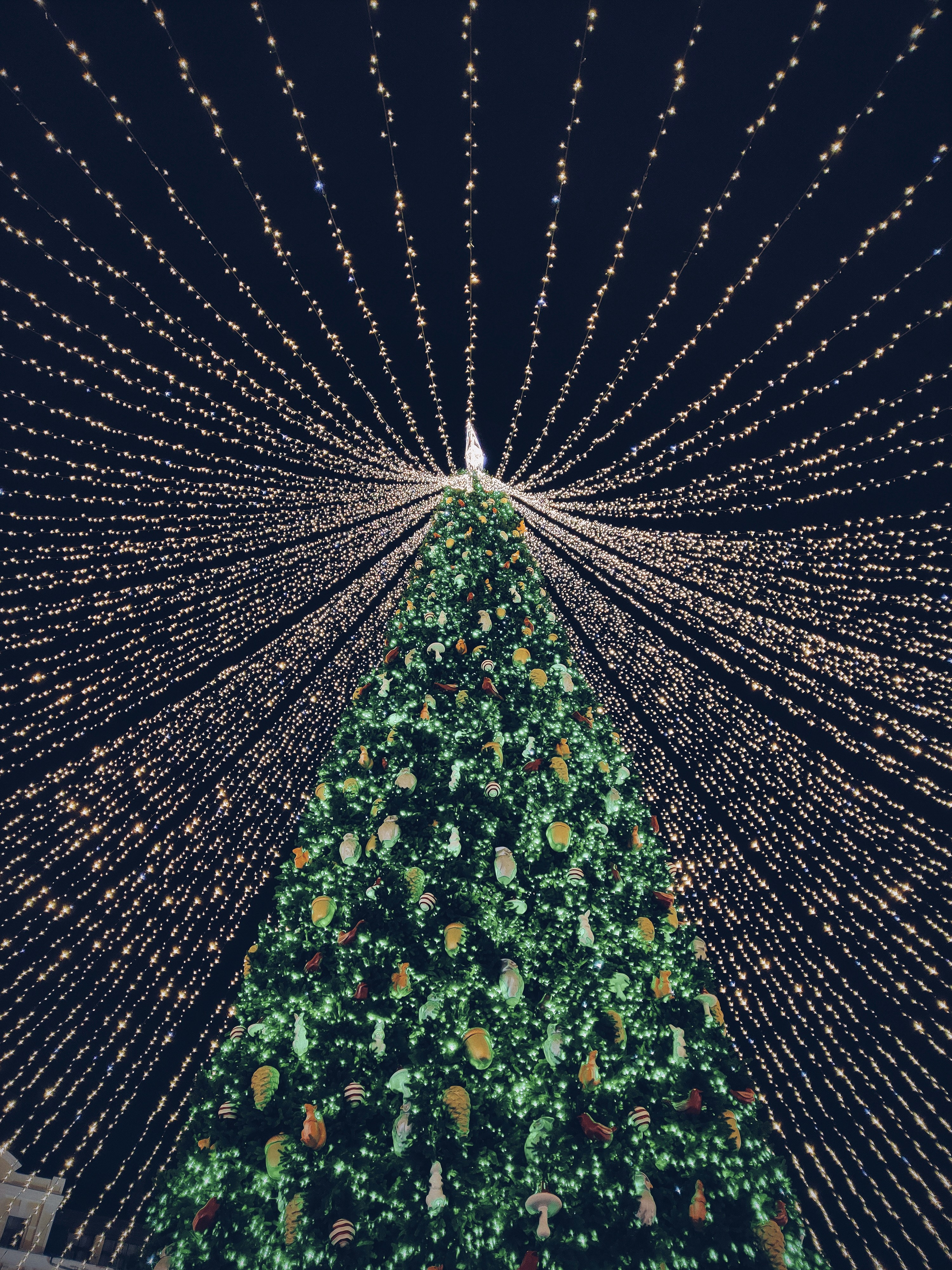 Labor makes up $1.50 to $3.50 per linear foot of the total price, whereas the strands add $0.50 to $1.50 to the final cost. Best 500 Christmas Lights Pictures Hd 2019 Download Free Images On Unsplash